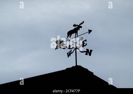 Silhouetted Elch Wetterfahne auf einem Dach. Stockfoto