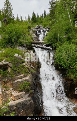 Kleiner Bergwasserfall entlang der East Fork Road im Sawtooth National Frest, Idaho. Stockfoto