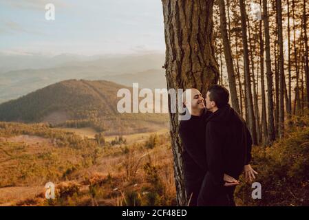 Seitenansicht des fröhlichen homosexuellen Paares umarmen und betrachten Einander in der Nähe von Baum im Wald und malerischen Blick auf Tal Stockfoto