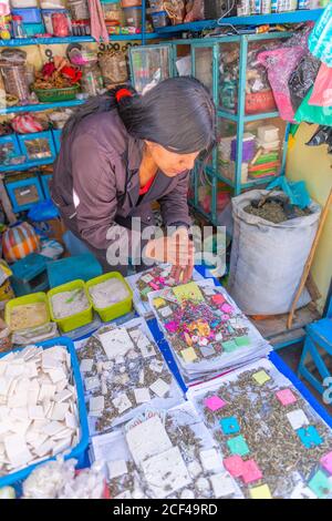 Mercado Campesinosor Bauernmarkt, Sucre,Hauptstadt der Verfassung Boliviens,Hauptstadt des Departements Chuquisaca, Bolivien, Lateinamerika.´ Stockfoto