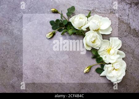 Modell Mit Karte Und Blumen. Liebesbrief mit Rosen. Leerer Platz für Ihren Text. Draufsicht. Mockup Vorlage für Geschenkgutschein Stockfoto