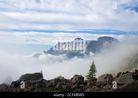 Berglandschaft im Morgengrauen mit einsamen Kiefern wächst zwischen riesigen Felsbrocken, Nebel im Tal Stockfoto