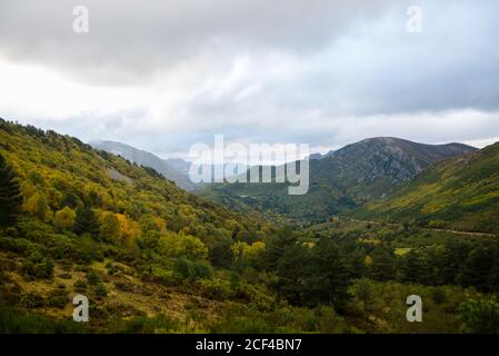 Üppige Bäume mit gelbgrünen Blättern, die in ruhiger, ruhiger Lage wachsen Tal in Berg unter bewölktem Himmel Stockfoto