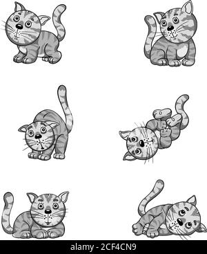 Katzen, amüsante Kätzchen, lustige Bilder eines Kätzchens in verschiedenen Posen,gestreift, lustig, absurd, Illustration, Zeichnung, Bild, Vektor, fröhlich, fröhlich, Haustier Stock Vektor