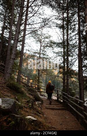 Von oben Rückansicht einer Gruppe von Touristen stehen Am Hang mit Holzzaun mit Blick auf einen schönen Herbst Waldlandschaft Stockfoto