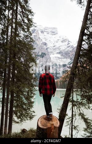 Rückansicht von anonymen Mann Reisenden in lässiger Kleidung stehend Auf einem Baum geschnitten Stamm und erfreuen im Blick auf Türkisfarbener See mit nebligen Dolomitenbergen im Hintergrund bei Italien Stockfoto