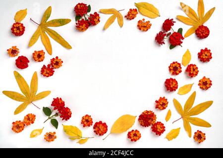 Herbstkomposition. Rahmen aus Blättern und Blumen auf weißem Hintergrund. Flach liegend, Draufsicht, Kopierbereich Stockfoto