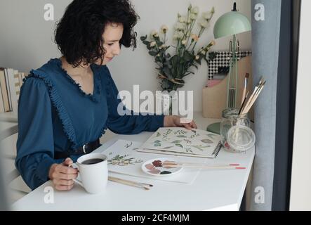 Brünette Frau Künstlerin sitzt am Tisch mit einer Tasse Kaffee und Blick auf Zeichnungen am Arbeitsplatz Stockfoto