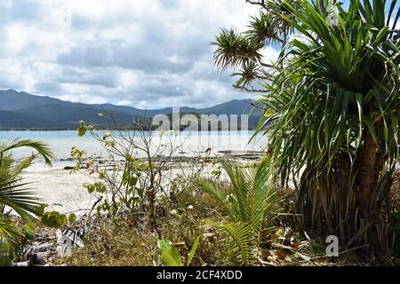 Von Mystery Island, Vanuatu im Südpazifik blickt man über das tropische Laub und den unberührten Strand zu den Bergen auf der Hauptinsel Aneiyum. Stockfoto