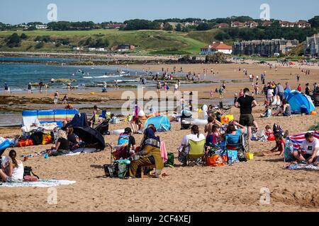 Urlauber am East Beach, Milsey Bay, North Berwick Stockfoto