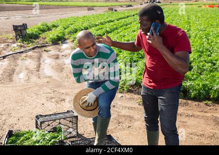 Besorgt afroamerikanischen Landwirt Arzt rufen, während hispanische Arbeiter leiden Von Herzinfarkt auf dem Feld Stockfoto