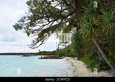 An einem tropischen Strand auf der Insel Pines, Neukaledonien, werden kleine lokale Boote an Bäumen befestigt. Ein schmaler Strand mit grünen Bäumen an einem bewölkten bewölkten Tag. Stockfoto