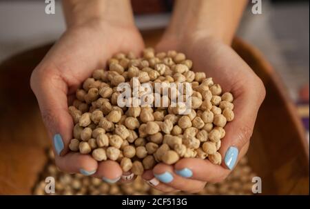 Von oben anonyme Weibchen mit einer Handvoll frischer Kichererbsen Schüssel und Vorführung der Körnung an die Kamera Stockfoto