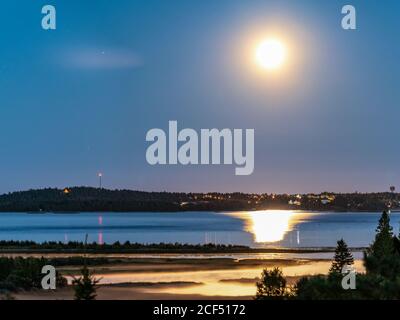 Aufsteigender, goldener Mond über dem Umea-Flussdelta, Sommernacht mit klarem Himmel und winzigem weißen Nebel über Wasser und Küstenlinie. Kiefernwald. Zwischen U Stockfoto