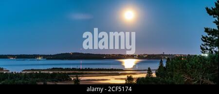 Panorama des aufsteigenden goldenen Mondes über dem Umea Flussdelta, Sommernacht mit klarem Himmel und winzigem weißen Nebel über Wasser und Küstenlinie. Kiefernwälder Stockfoto