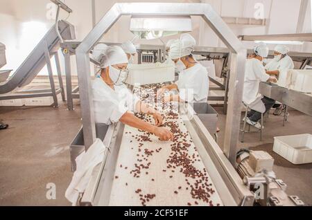 Mendoza, Argentinien - Februar, 09 2015: Seitenansicht von erwachsenen ethnischen Damen in Uniform Sortieren frische Rosinen auf Förderband während der Arbeit in der Fabrik Stockfoto