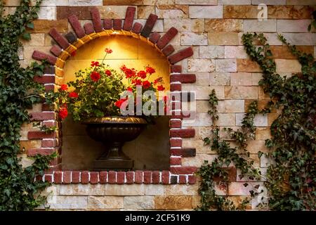 Bogen mit einer dekorativen Öffnung für Stein Blumentopf mit Blume und Beleuchtung auf der Fassade des Gebäudes aus Stein und Wicklung Efeu, eine Nahaufnahme Stockfoto