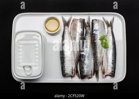 Frisch gewaschene und geschalkene Fische ohne Kopf auf weißem Teller Stockfoto