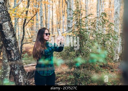 Frau im Karomusterhemd, die Herbstbäume fotografiert Handy mit Holz auf verschwommenem Hintergrund Stockfoto