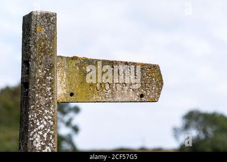 Alte, alte Beton öffentlichen Fußweg Wegweiser in Great Wakering, in der Nähe von Southend, Essex, Großbritannien. Bedeckt mit grünen Flechten und Algen. Verfällt Stockfoto