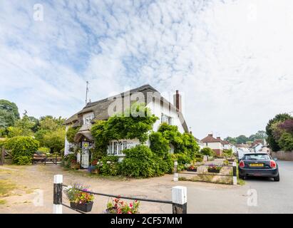 Ein hübsches Reethaus am Straßenrand in Otterton, einem malerischen kleinen Dorf im Otter Valley in East Devon, Südwestengland Stockfoto