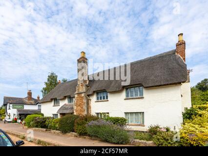 Ein hübsches Reethaus am Straßenrand in Otterton, einem malerischen kleinen Dorf im Otter Valley in East Devon, Südwestengland Stockfoto