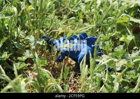 Blue Gummi stegosaurus Dinosaurier Spielzeug in einem Park Stockfoto