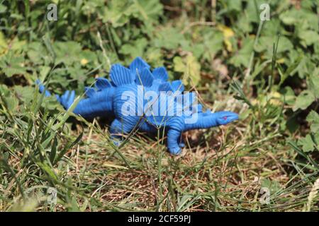 Blue Gummi stegosaurus Dinosaurier Spielzeug in einem Park Stockfoto