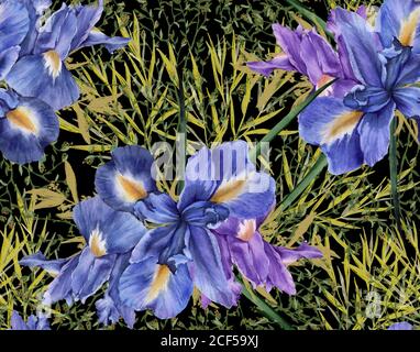 Hintergrund der Iris Blumen mit Laub. Nahtloses Muster. Aquarell Illustration. Stockfoto