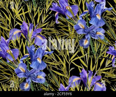 Hintergrund der Iris Blumen mit Laub. Nahtloses Muster. Aquarell Illustration. Stockfoto