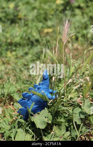 Blue Gummi stegosaurus Dinosaurier Spielzeug in einem Park Stockfoto