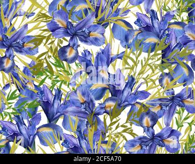 Hintergrund der Iris Blumen mit Laub. Nahtloses Muster. Aquarell Illustration. Stockfoto