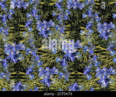 Hintergrund der Iris Blumen mit Laub. Nahtloses Muster. Aquarell Illustration. Stockfoto