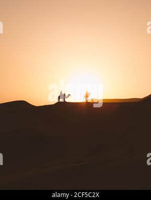 Minimalistischer Blick auf Kamele Silhouetten auf Sanddüne in der Wüste gegen Sonnenuntergang Licht, Marokko Stockfoto