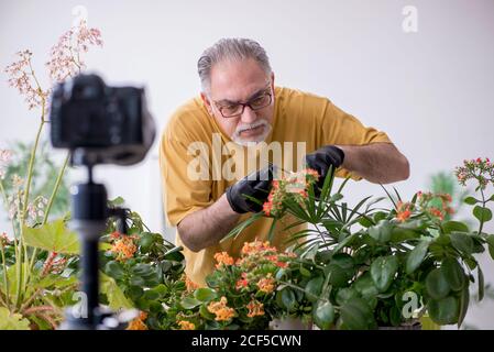 Alter männlicher Gärtner mit Pflanzen zu Hause Stockfoto