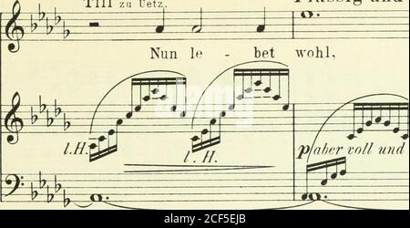 . Till Eulenspiegel : Volkoper in zwei Theilen und einem Nachspiel : frei nach Johann Fischchart's 'Eulenspiegel Reimensweiss'. - -1 -• -i -i • bis zu UET. Flusig und schwungvoll. Herr Rit ter TR. Stockfoto