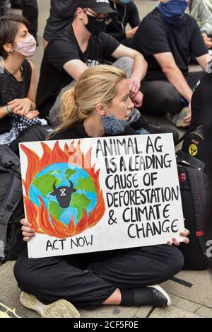Ein Protestler, der während der Demonstration mit einem Plakat auf dem Boden saß.Tieraufständler Teil des Aussterbens Rebellion Demonstranten blockieren die Victoria Street mit einem Farmtruck mit zwei Aktivisten, die super auf das Dach geklebt waren, während andere drinnen mit Ketten verschlossen waren. Stockfoto
