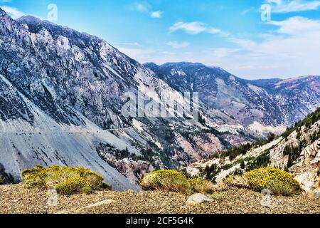 Malerische Aussicht auf die Tioga Pass Road am Lee Vining Creek Canyon am Sommertag. Stockfoto