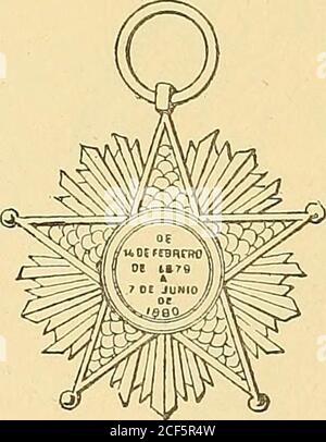 . Monetario americano (ilustrado) clasificado. Nr. 1142 – Anverso Leyenda Exposición Internacional de San-tiago de Chile. En el campo: Setiembre 1875 en láurea;debajo una estrella de cinco puntas. Reverso en el campo: Vista del Palacio de la Exposición;debajo, entre adornos, rectángulo en que se lee; Palacio de la Exposición. Exergo: Alphee Dubois. Cobre: Peso 11 Gramm. 3 Dez. Stockfoto