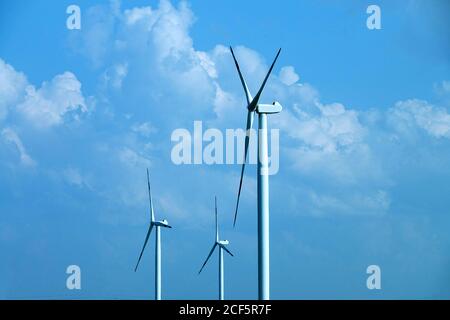 Windturbine im Windpark in Cerignola. Foggia, Apulien / Italien Stockfoto