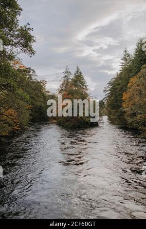 Schmaler Fluss mit dunklem Wasser, der durch einen wunderschönen bunten Wald fließt Im Herbst Tag mit bewölktem Himmel Stockfoto