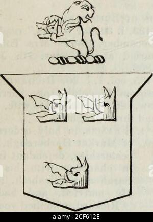 . Eine genealogische und heraldische Geschichte der Bürger von Großbritannien und Irland genießen territoriale Besitztümer oder hohen offiziellen Rang, aber nicht investiert mit erblichen Ehren. In einer ähnlichen Situation ; nein, das cata- viii VORWORT. Logie ist so viel erweitert worden, dass die Möglichkeit ofenumeration auszuschließen. Er darf jedoch seinen hochbegabten und versierten Freund James Roche, Esq. Von Cork, nicht auslassen, dem er für die wichtigste literarische Hilfe und die wertvollsten Informationen verpflichtet ist; er darf auch nicht besonders den Namen des ansatbaren Genealogisten, Mr. Joseph Mor, vergessen Stockfoto