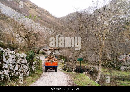 Leuchtend orange nach oben Wald beladenen LKW Reiten entlang felsigen Kamm in den Bergen in den Gipfeln Europas, Asturien, Spanien Stockfoto