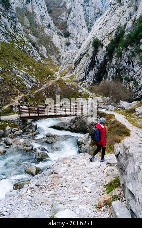 Rückansicht einer unkenntlichen Frau, die in der Nähe einer kleinen Holzbrücke über einem stürmischen Gebirgsfluss durch felsige Berge in den Gipfeln Europas, Asturias, Spanien, läuft Stockfoto
