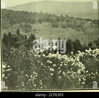 . Nordwärts-ho! Mit Blick auf Maine's Binnenresorts, Moosehead Lake, die Rangeleys, Belgrader Seen und Poland Spring. 31 Seite – nordwärts-ho!. Stockfoto