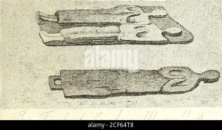 . Das Antiquariat : ein Konvolut, das mehrere wertvolle Überreste alter Zeiten bewahren und illustrieren soll : geschmückt mit eleganten Skulpturen. Stockfoto