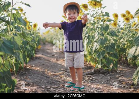 Fröhlicher kleiner lächelnder Junge in lässiger Kleidung und Hut stehend In grünen Sonnenblumen Feld und Blick auf die Kamera beim Aufheben Hände und zusammenklingende Fäuste Stockfoto