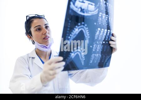 Junge schöne weibliche Zahnarzt in medizinischen Kleid, Handschuhe, Maske und Brille Überprüfung Röntgen isoliert auf weißem Hintergrund Stockfoto