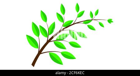 Grüne Blätter in Ästen Stockfoto