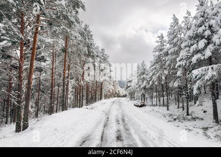 Winter schneebedeckt leere Landstraße Stockfoto